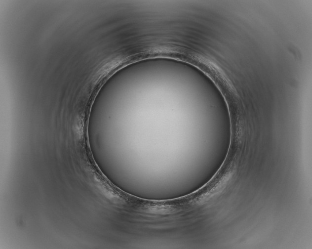 X0000112400833200908211113