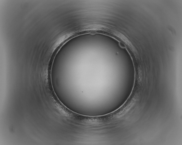 X0000112400834200908211113