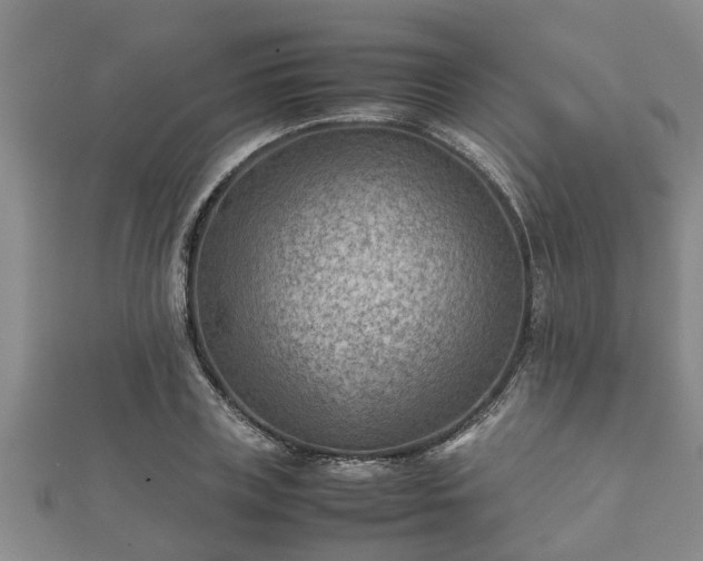 X0000112400835200908211113