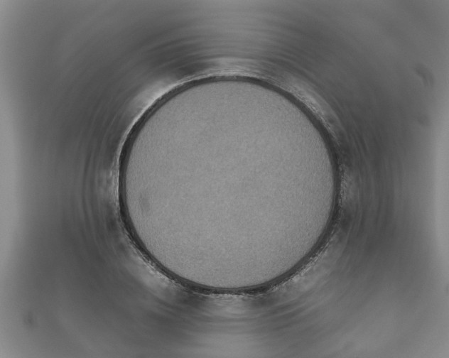 X0000112400836200908211113