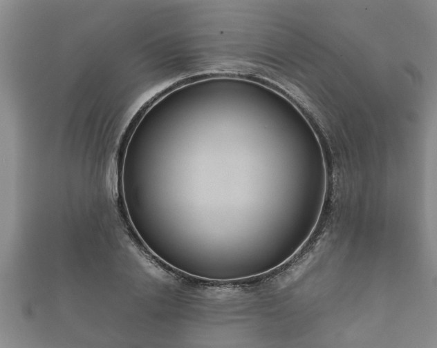 X0000112400838200908211113