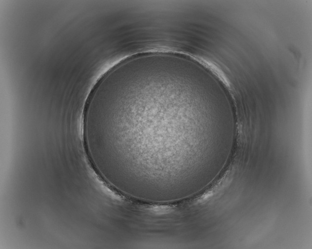 X0000112400839200908211113