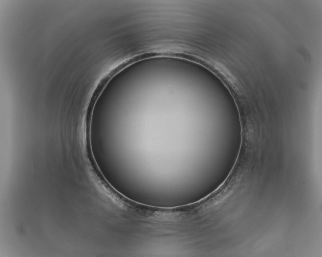 X0000112400840200908211113