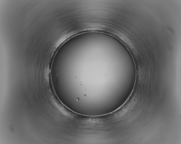X0000112400842200908211114
