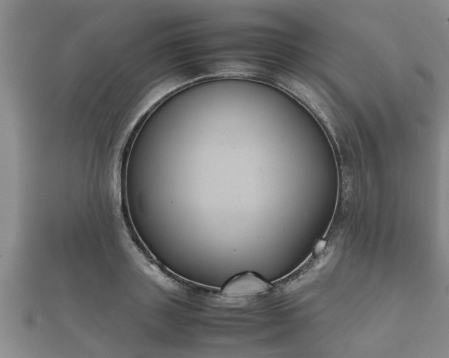 X0000112400843200908211114
