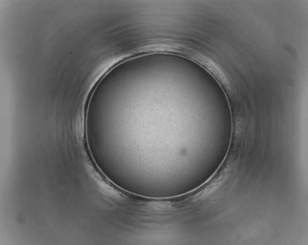 X0000112400844200908211114