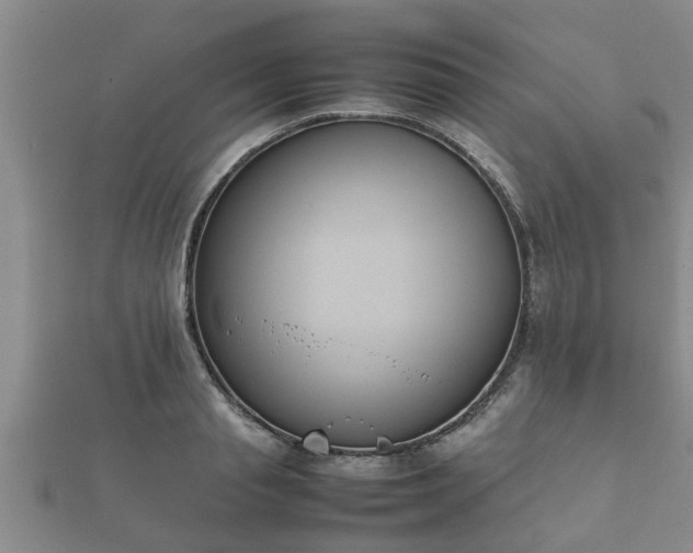 X0000112400845200908211114