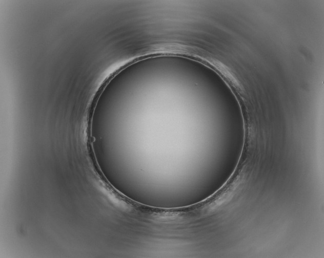 X0000112400846200908211114