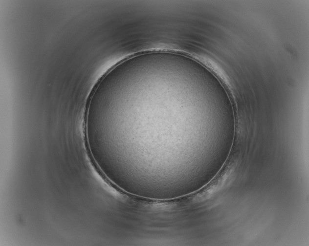 X0000112400847200908211114