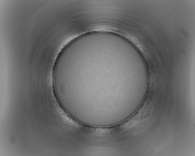 X0000112400848200908211114