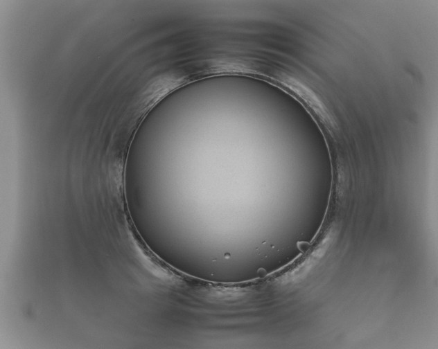 X0000112400849200908211114
