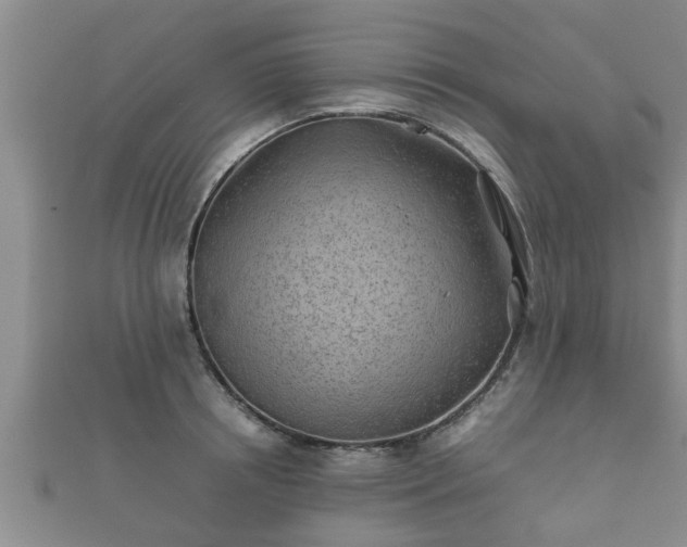 X0000112400850200908211114