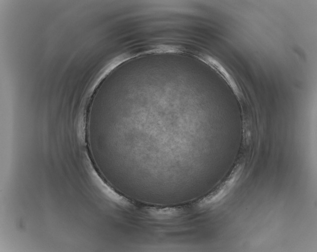 X0000112400851200908211114