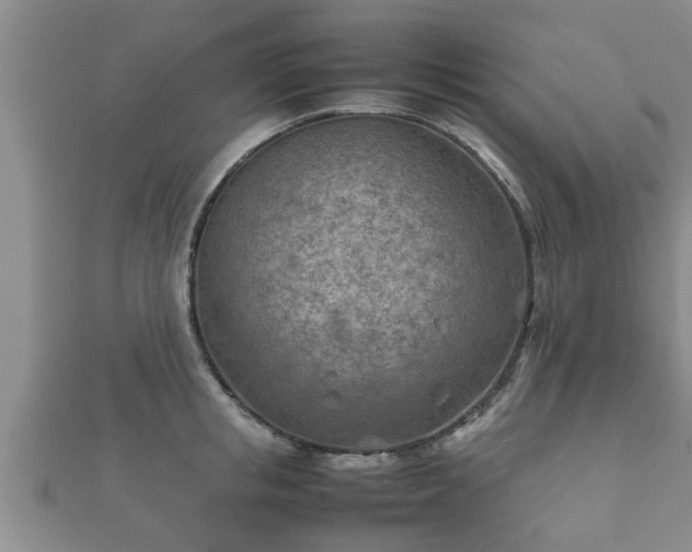 X0000112400853200908211114