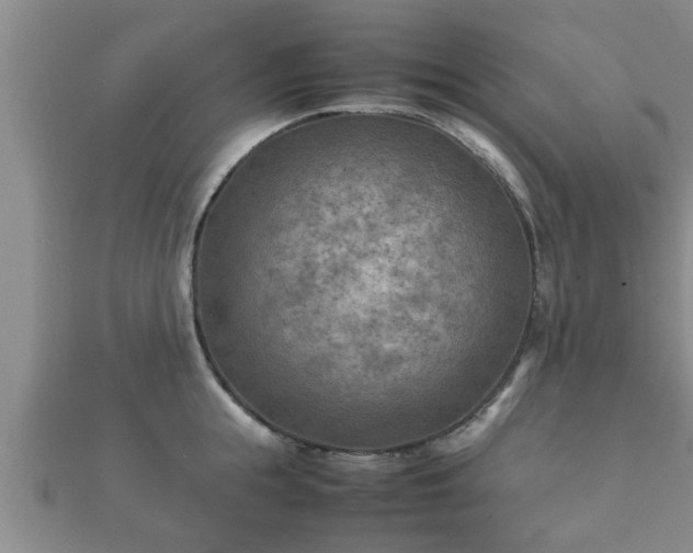X0000112400855200908211114