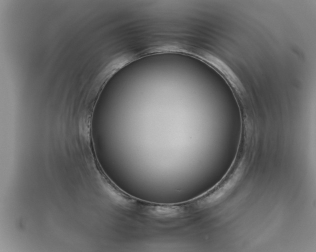 X0000112400857200908211114