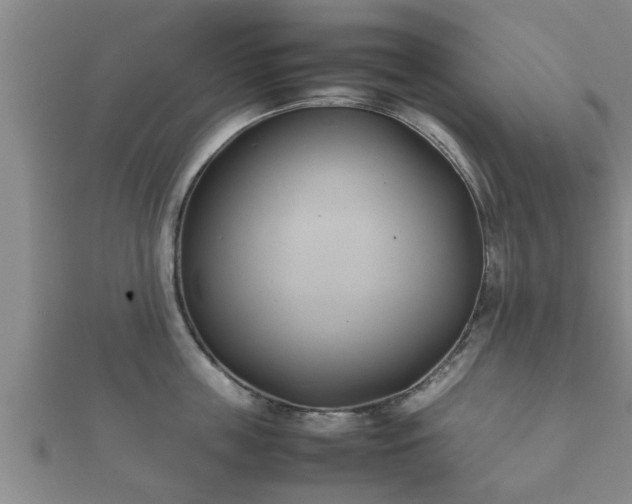 X0000112400859200908211114