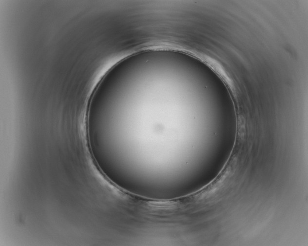 X0000112400863200908211114