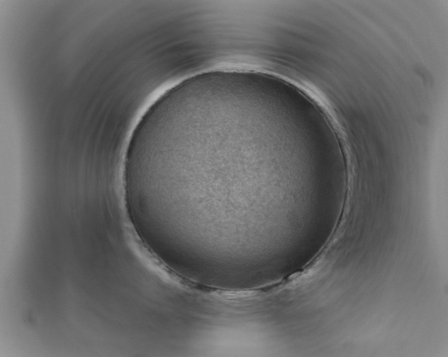 X0000112400864200908211114
