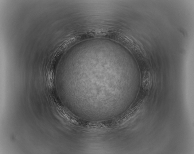 X0000112400866200908211113