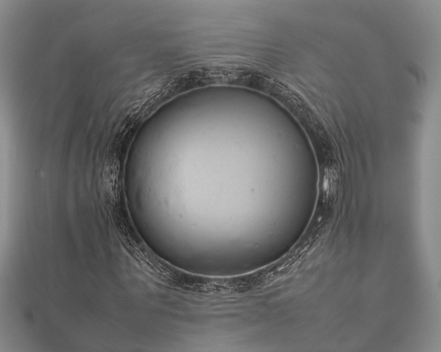 X0000112400867200908211113