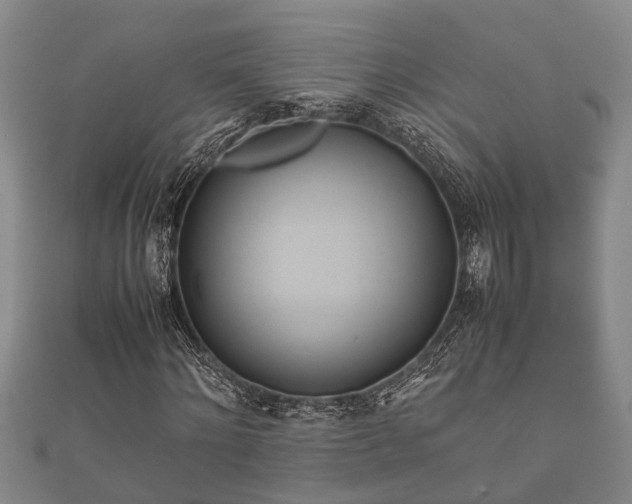 X0000112400868200908211113