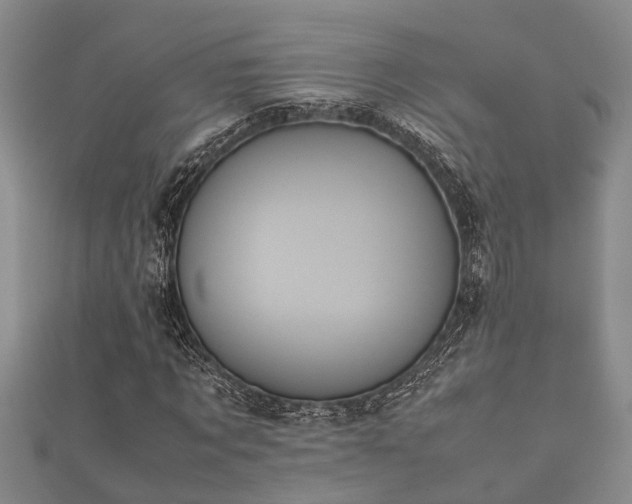 X0000112400869200908211113