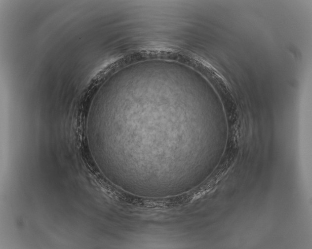 X0000112400870200908211113