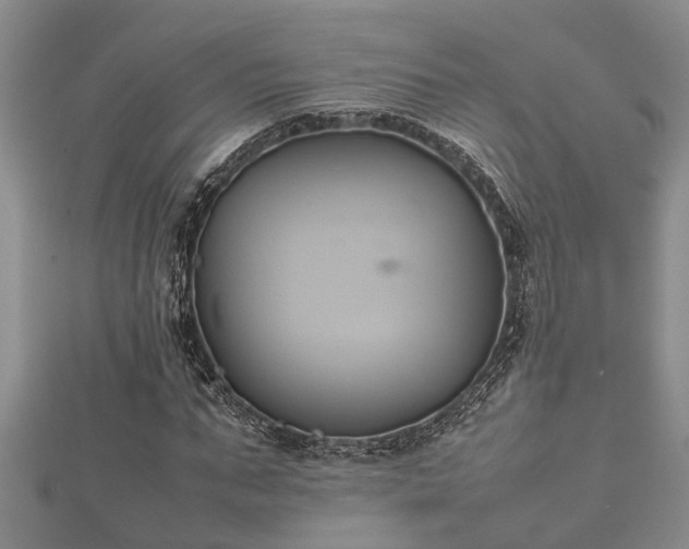 X0000112400871200908211113