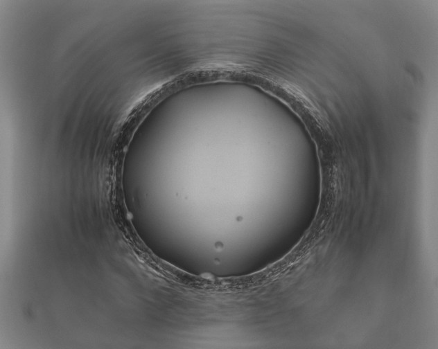 X0000112400872200908211113