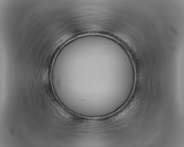 X0000112400873200908211113