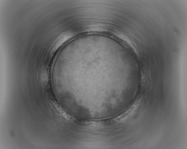 X0000112400874200908211113