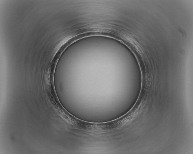 X0000112400875200908211113