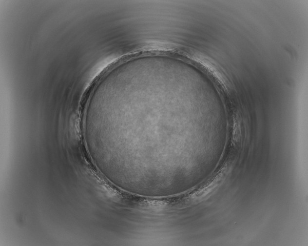 X0000112400878200908211113