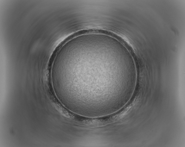 X0000112400879200908211113