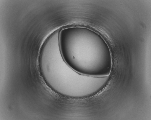 X0000112400880200908211113