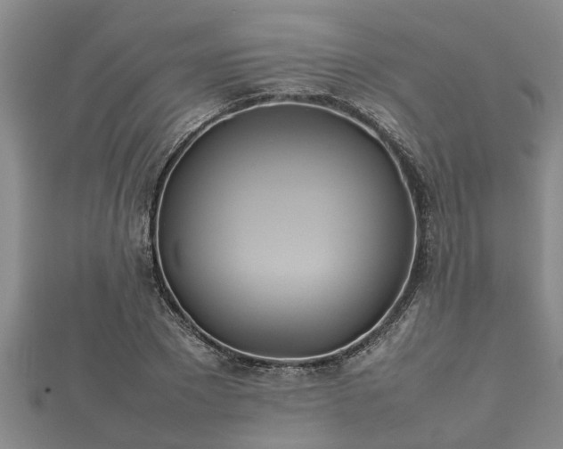X0000112400881200908211113