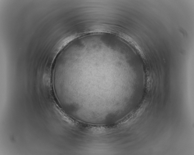 X0000112400882200908211113