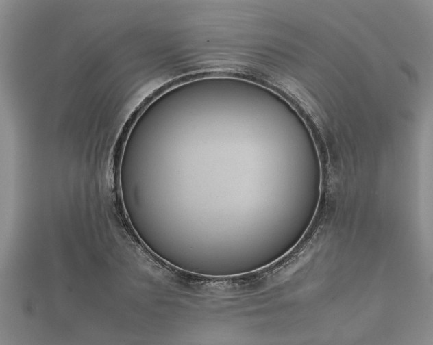 X0000112400883200908211113