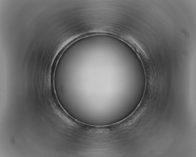 X0000112400884200908211113