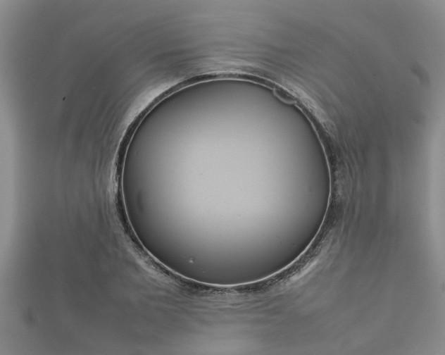 X0000112400885200908211113