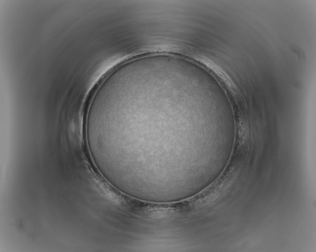 X0000112400886200908211113