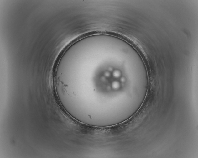 X0000112400887200908211113