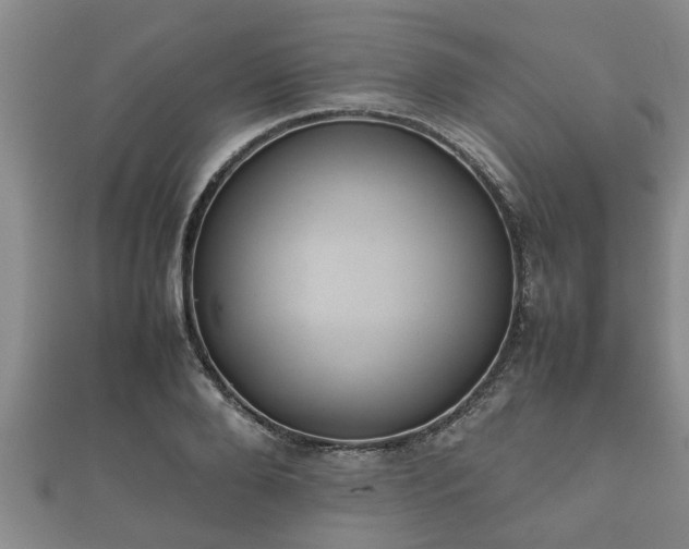 X0000112400888200908211113