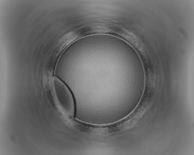 X0000112400889200908211113