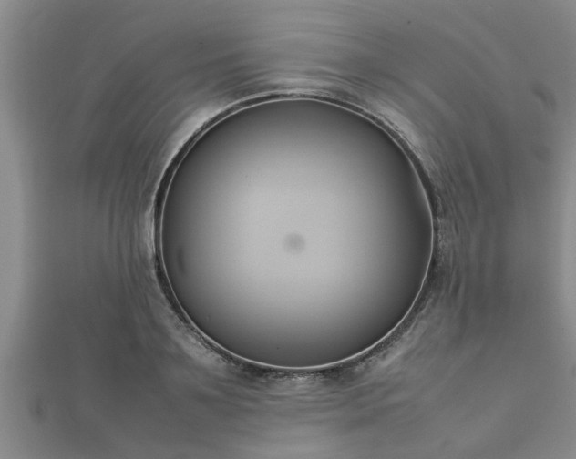 X0000112400891200908211113