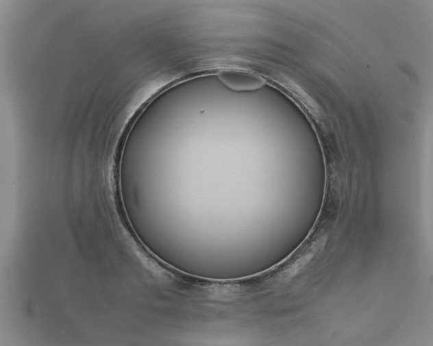 X0000112400893200908211113