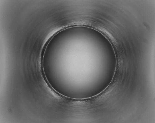 X0000112400894200908211113