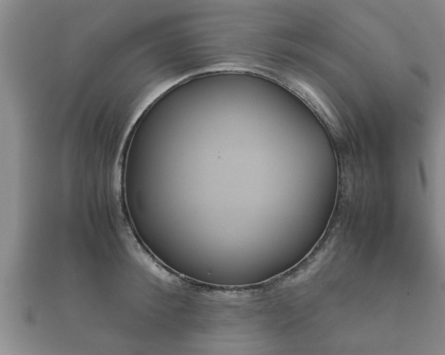 X0000112400900200908211113