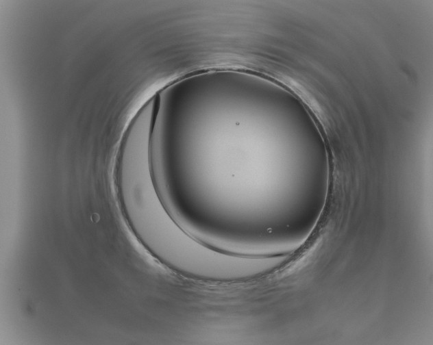 X0000112400901200908211113